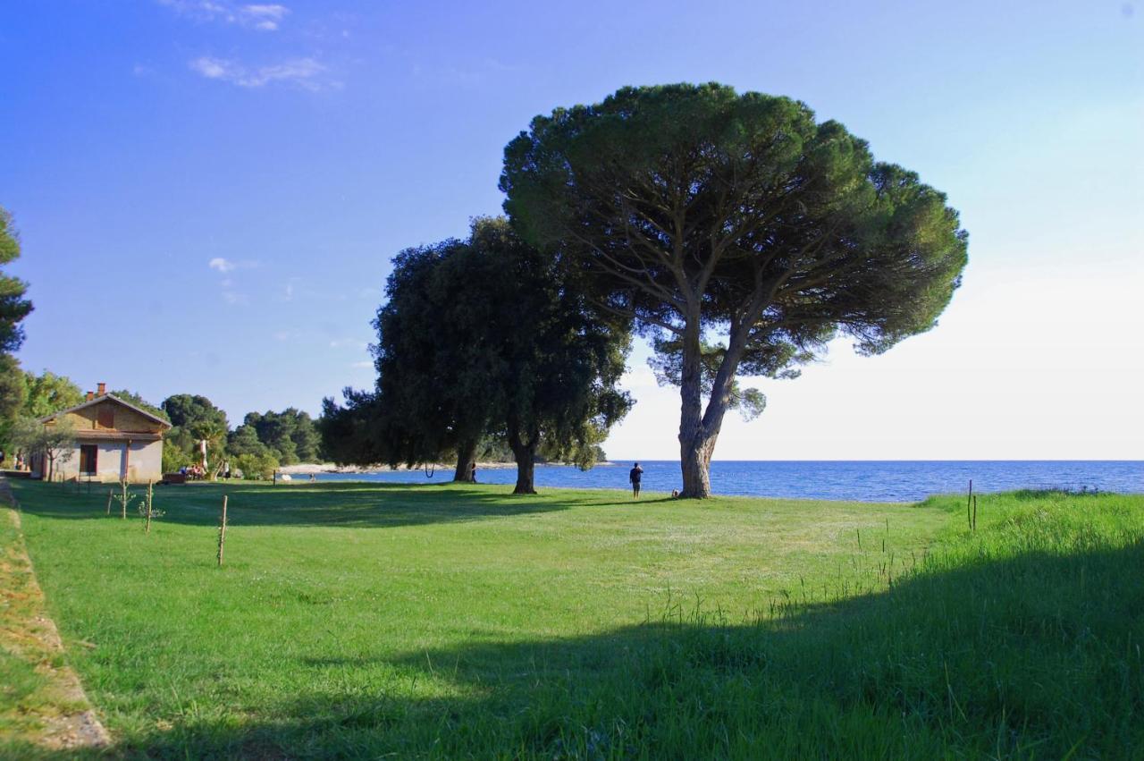 פרוי Family Beach Apartments מראה חיצוני תמונה
